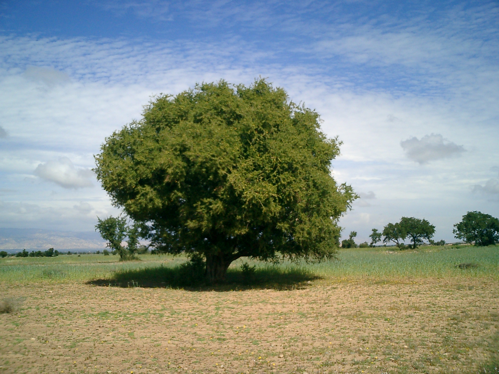 その選択に、理由はありますか?