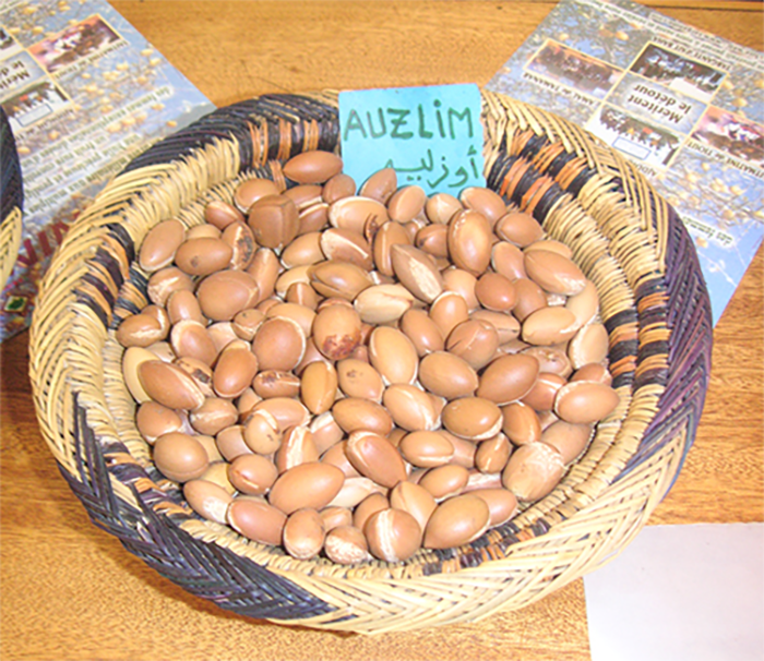 その選択に、理由はありますか?