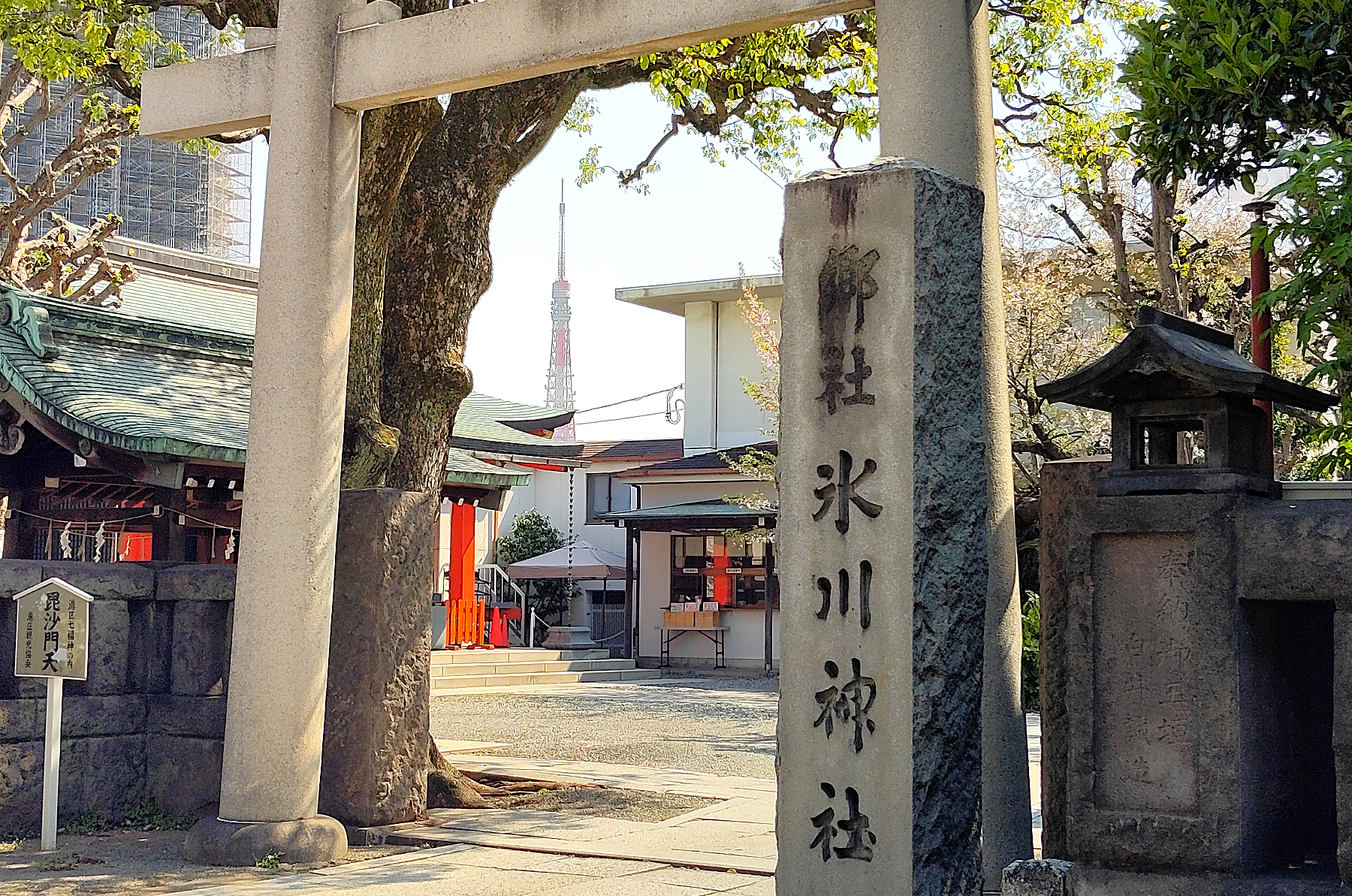 ゆる散歩番外編5月⑤