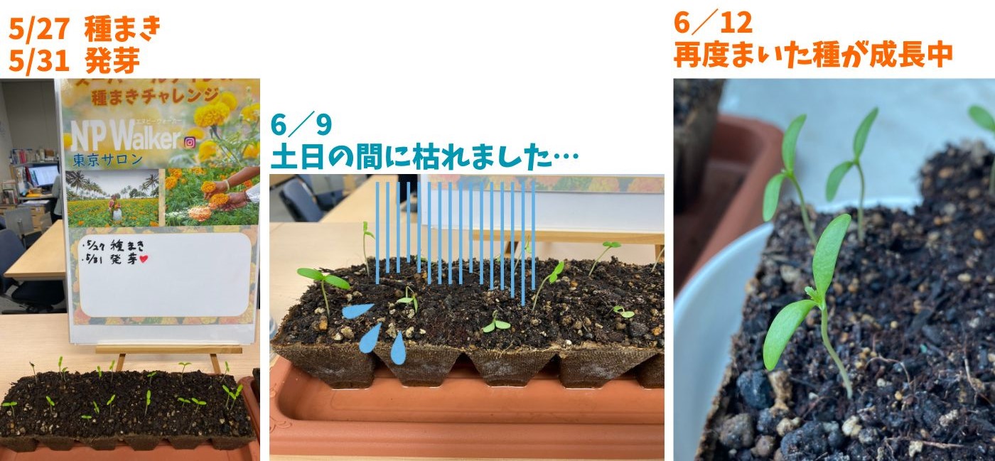 育成日記 社内チャレンジャー編 Vol.1③