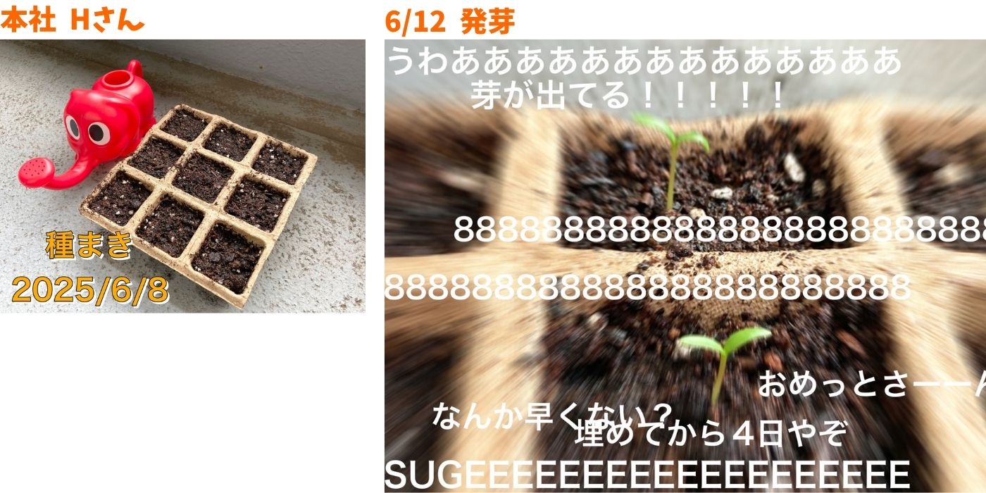 育成日記 社内チャレンジャー編 Vol.1⑦