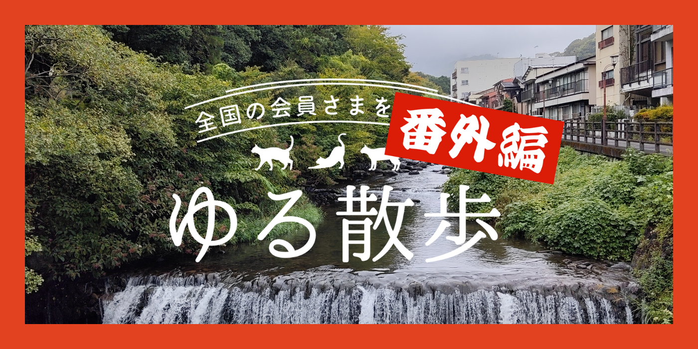 大人の湯河原日帰り旅_1