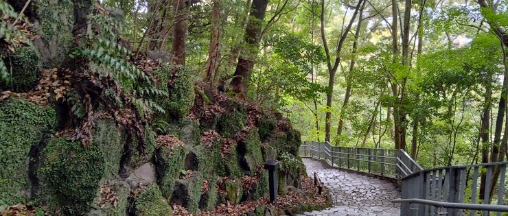 大人の湯河原日帰り旅_6