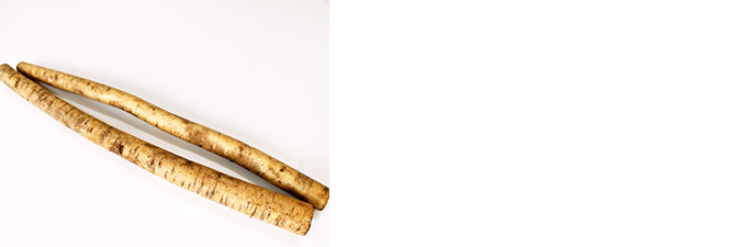 いま話題の“発酵性食物繊維”とは？