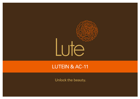 lute_brochure